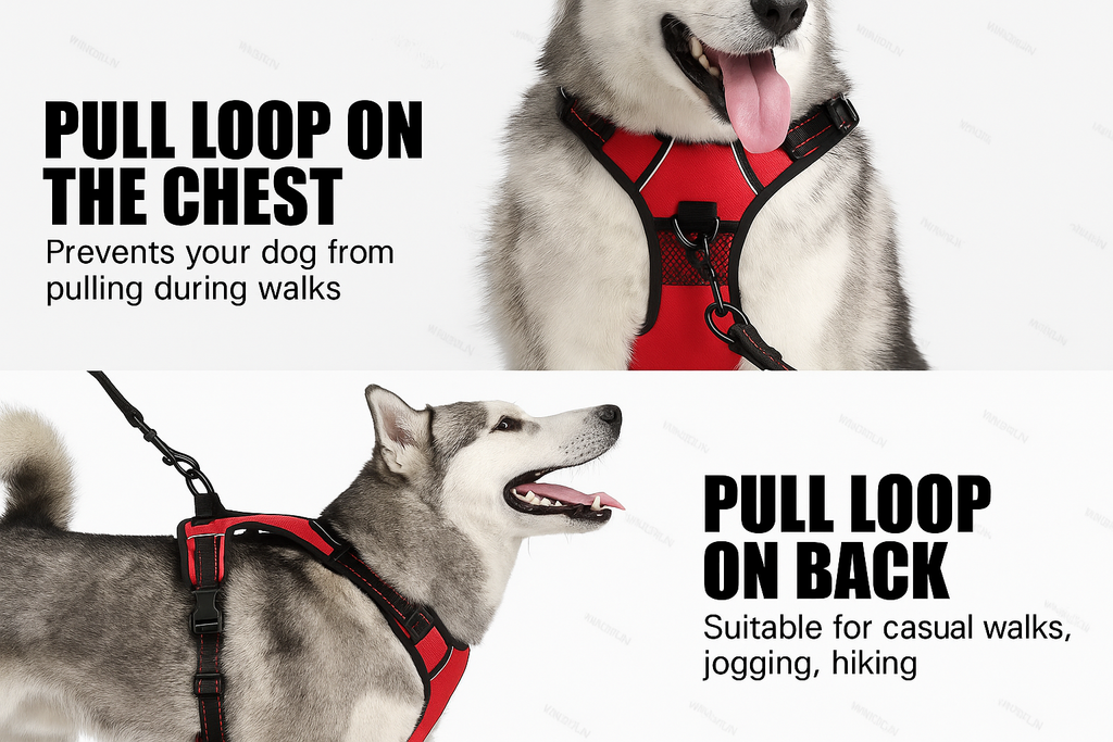 Collier lumineux LED pour chiens -ROUGE-
