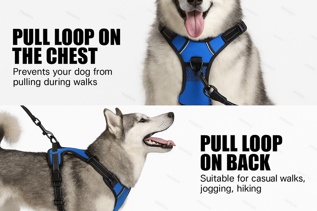 Collier lumineux LED pour chiens -BLEU-