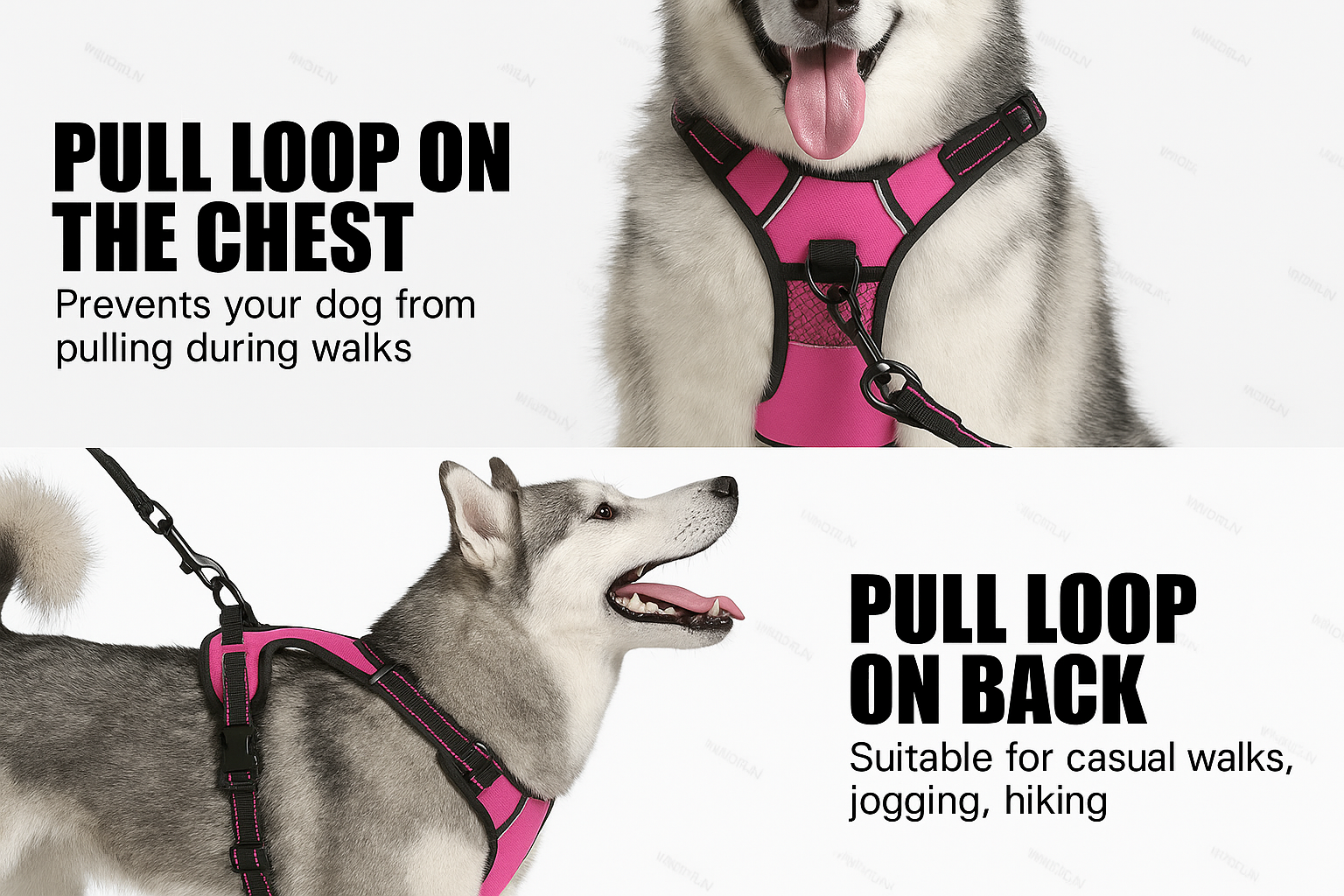 Collier lumineux LED pour chiens -ROSE-