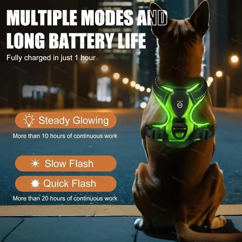 Collier lumineux LED pour chiens - VERT-