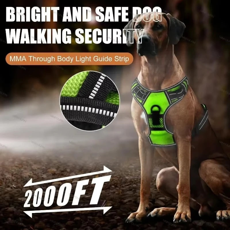 Collier lumineux LED pour chiens - VERT-