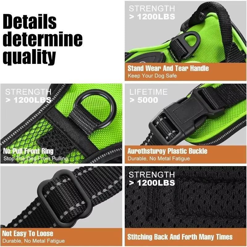 Collier lumineux LED pour chiens - VERT-