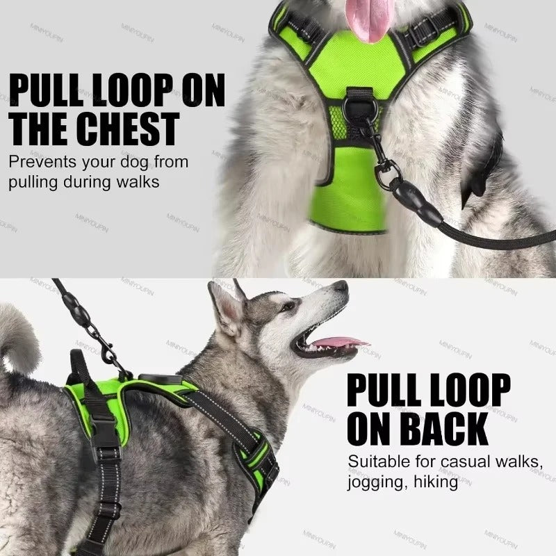 Collier lumineux LED pour chiens - VERT-