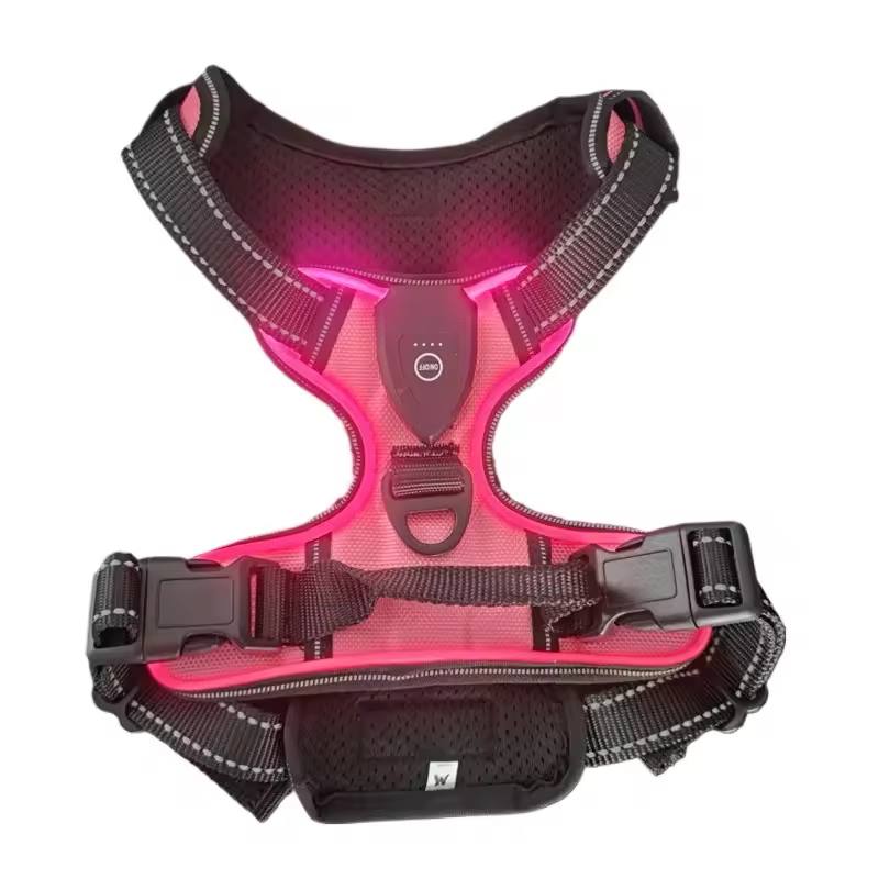 Collier lumineux LED pour chiens -ROSE-