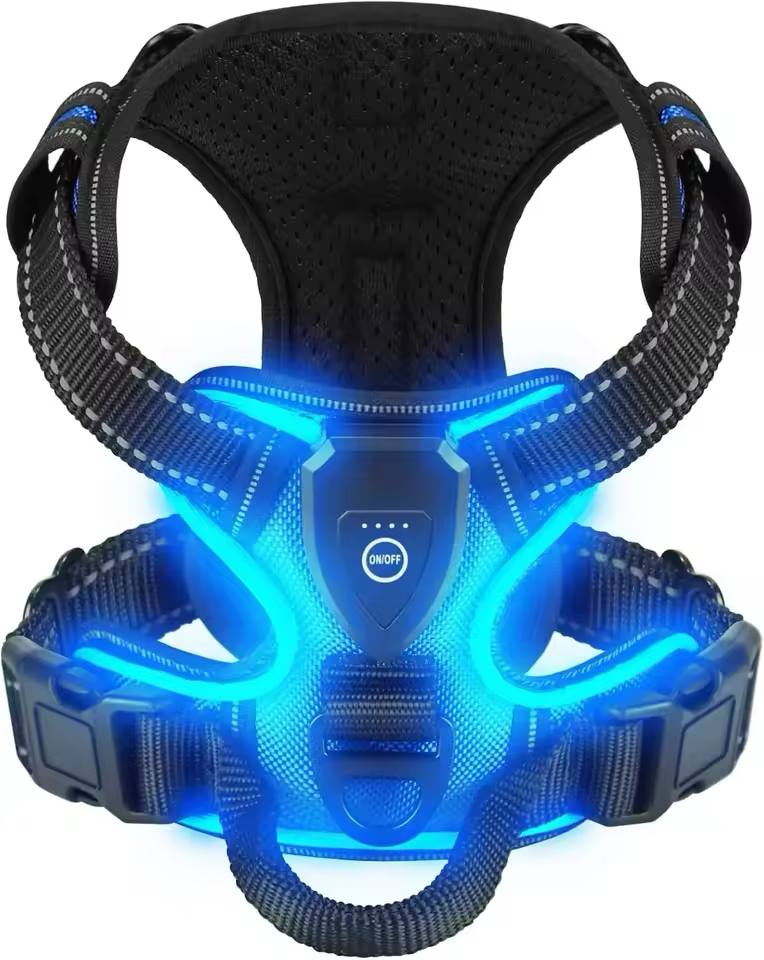 Collier lumineux LED pour chiens -BLEU-