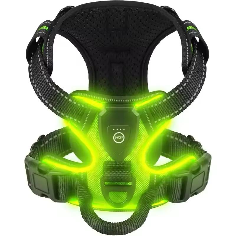 Collier lumineux LED pour chiens - VERT-