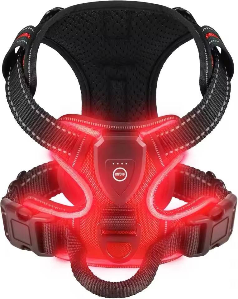 Collier lumineux LED pour chiens -ROUGE-